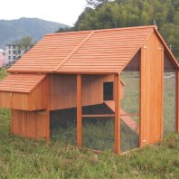 Chicken Coop