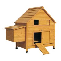 Chicken Coop