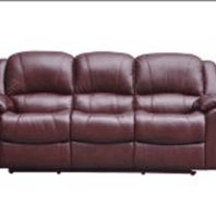 Elegant Sofa Set 