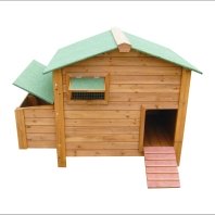 Chicken Coop