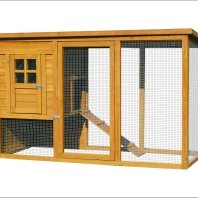 Chicken Coop