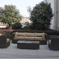 6pcs rattan sofa set.