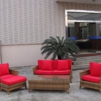 5pcs rattan sofa set.